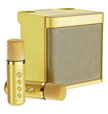 Karaokê Premium com 2 Microfones Sem Fio Garanta a diversão das suas festas com som potente !